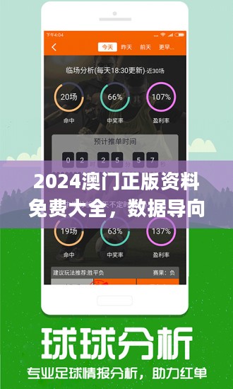 2024新澳门正版免费正题-精选解释解析落实