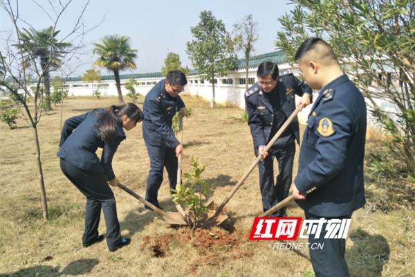 最新疫情最新消息宁远，抗击疫情，守护家园的坚定决心与行动