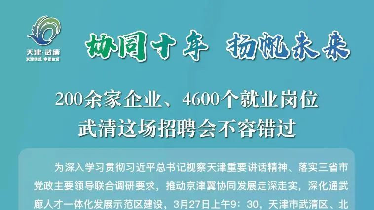 武清区人才网最新招聘动态深度解析